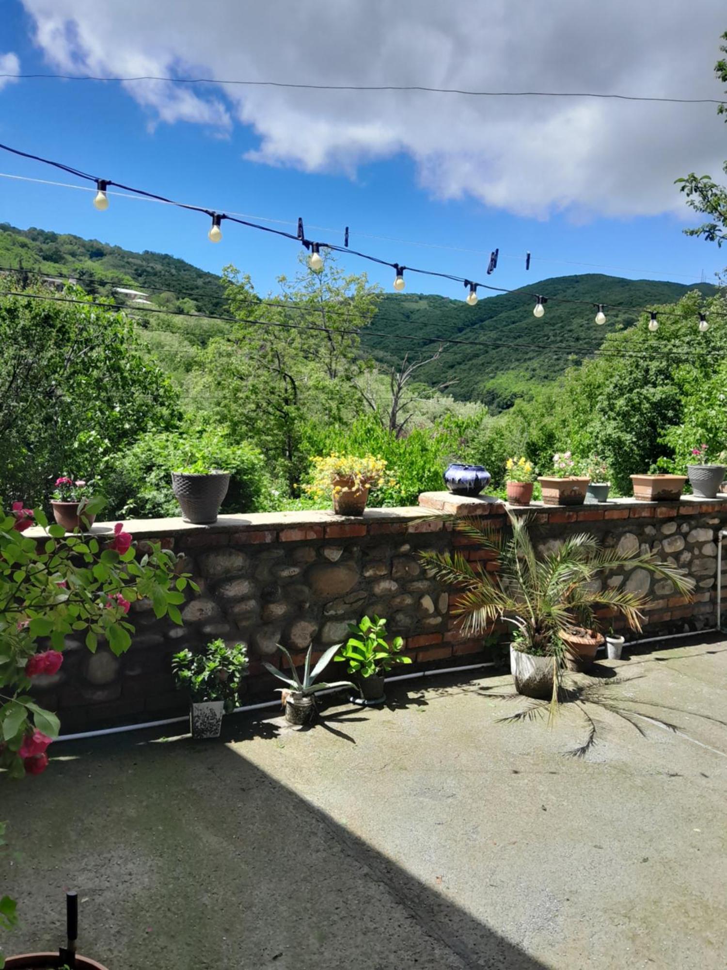Appartamento Emilia Sighnaghi Esterno foto